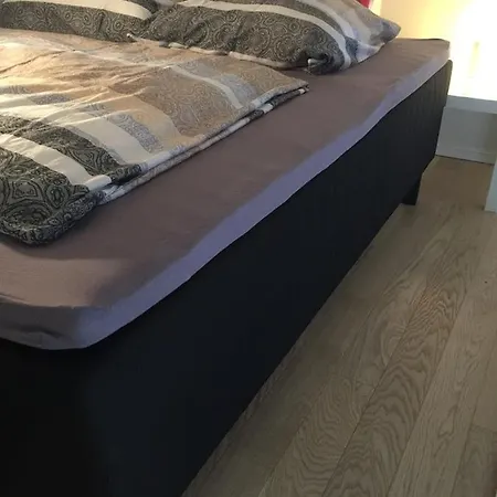 Deluxe Art In Heart Of * Reval