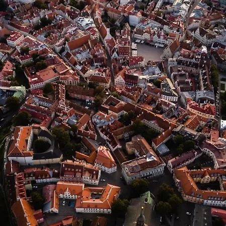 Deluxe Art In Heart Of Appartamento Reval