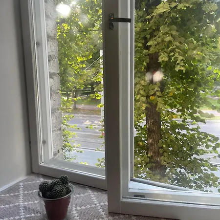 Appartamento Deluxe Art In Heart Of *