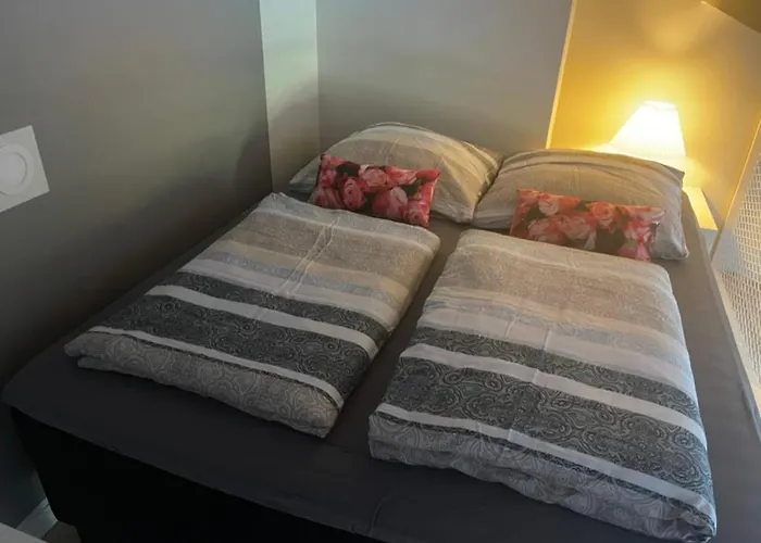 Deluxe Art In Heart Of * Reval