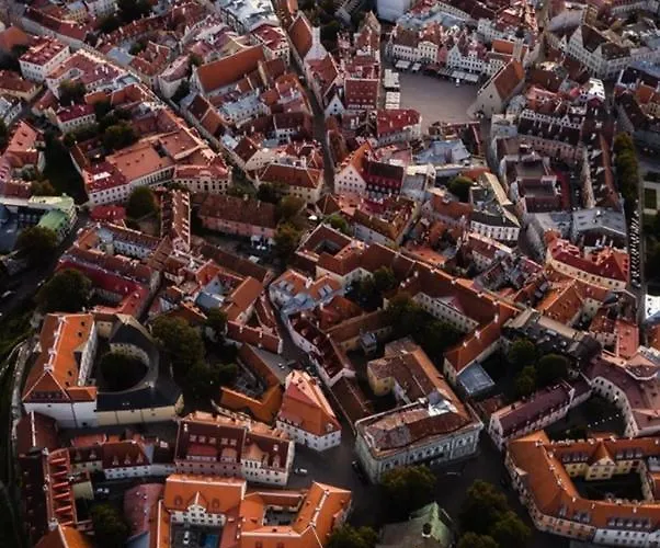 Deluxe Art In Heart Of Apartment Tallinn