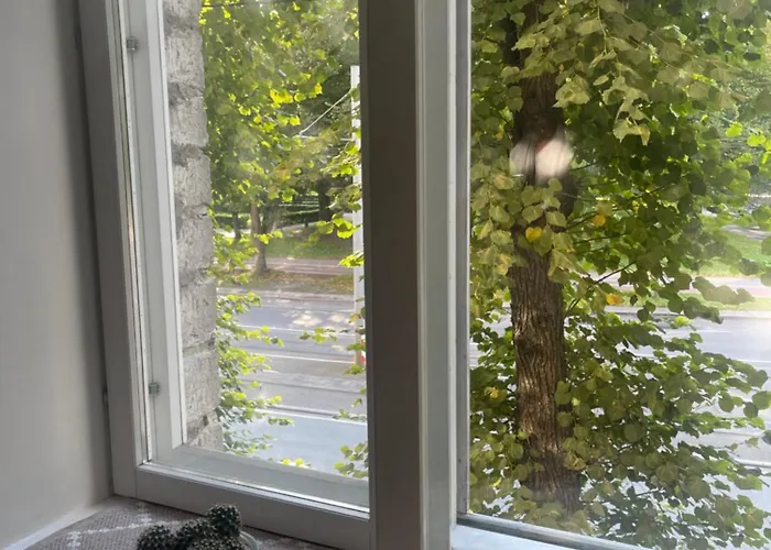 Apartment Deluxe Art In Heart Of *