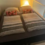 Deluxe Art In Heart Of Apartment
