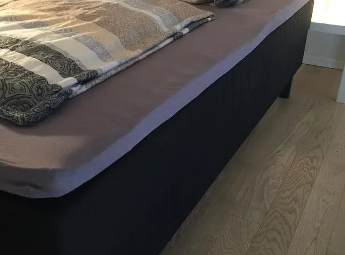 Deluxe Art In Heart Of * Tallinn