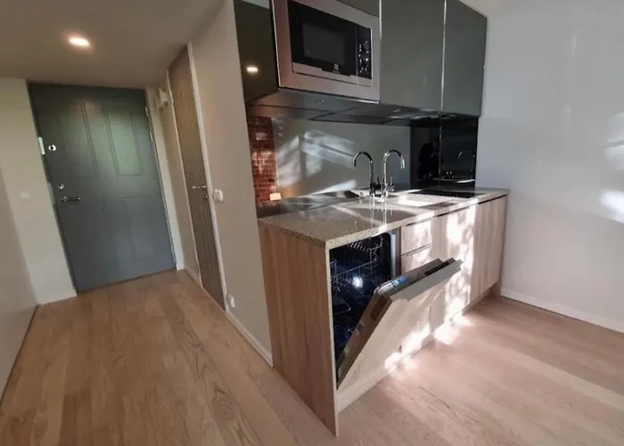 Appartement Deluxe Art In Heart Of Tallinn