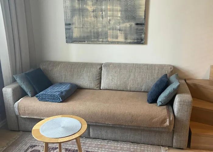 Appartement Deluxe Art In Heart Of Tallinn